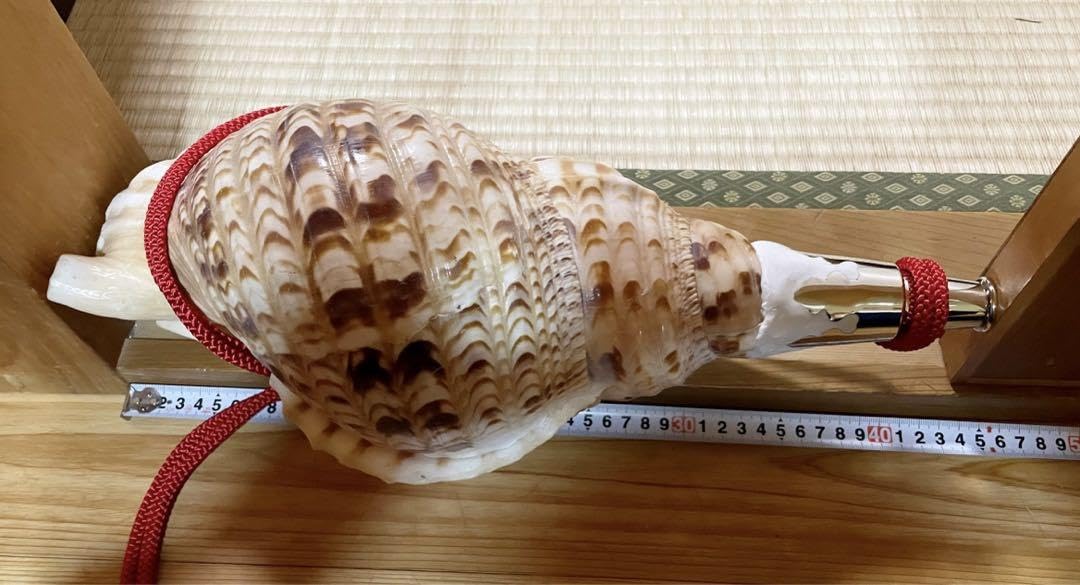 特大41.5㎝修験道法螺貝山伏密教魔除け熊よけ❣️ほら貝ホラガイ