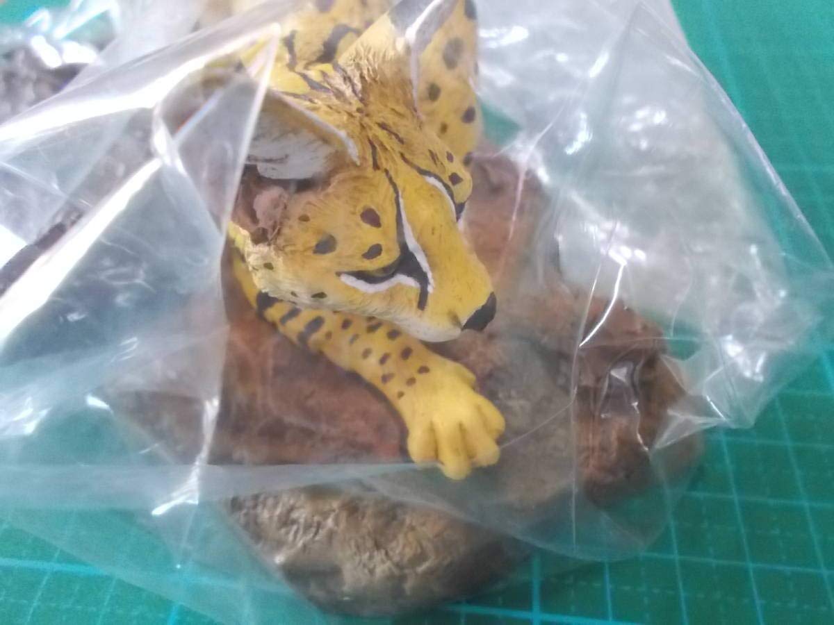 Amazon.co.jp: 海洋堂 松村しのぶ 原型制作 塗装監修 サーバルキャット