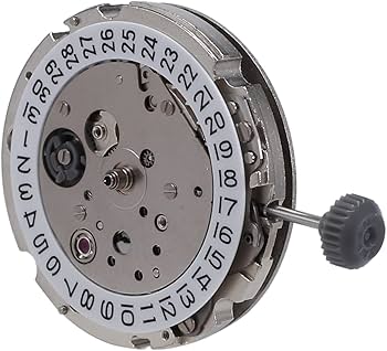 61U3afp5ewL._AC_UF350,