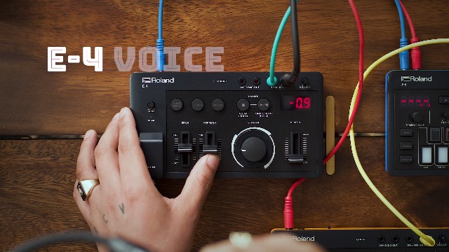 Amazon.co.jp: Roland ローランド AIRACompact VOICE TWEAKER E-4