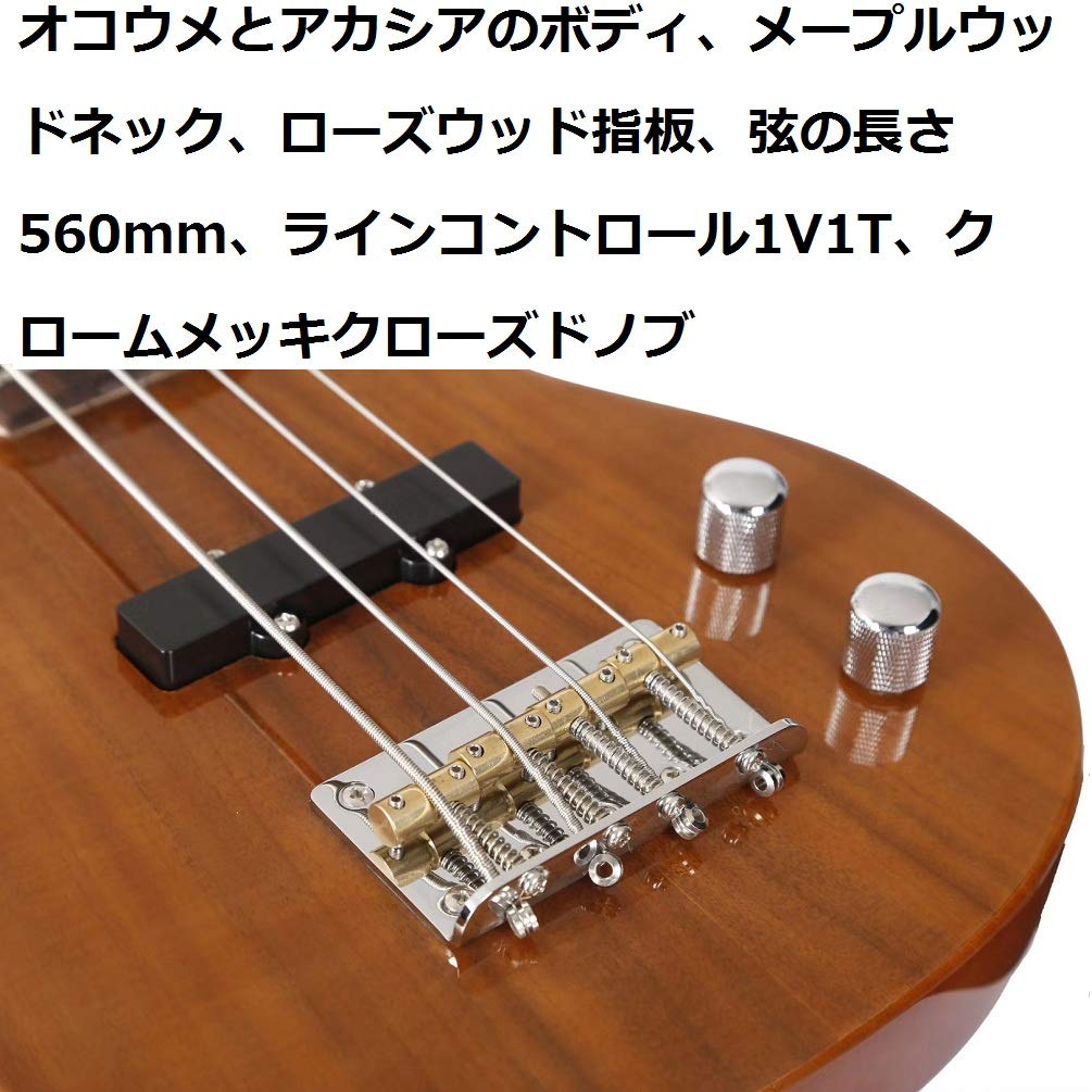 Amazon | 30インチダブルピックアッププロフェッショナル