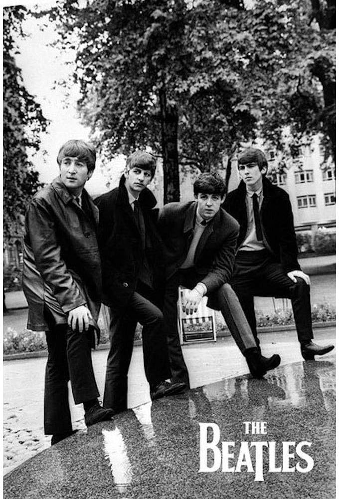 ビートルズ BEATLES トムマッセ Tom Masseアート 絵画 フレーム Amazon