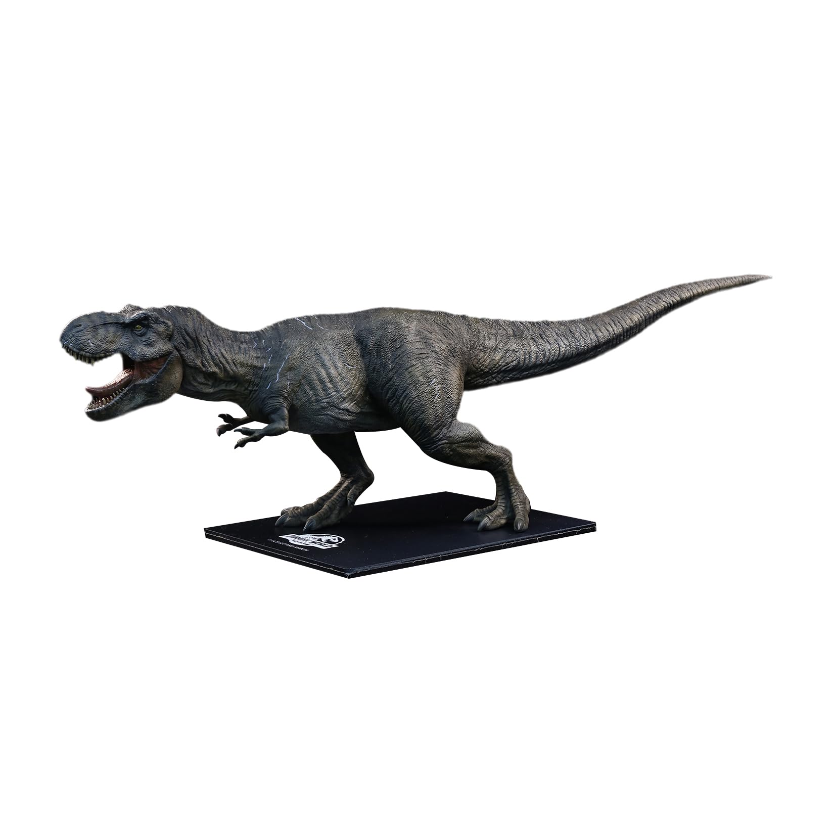 Amazon.co.jp: DINO DREAM 限定版 1:30サイズ ティラノサウルス