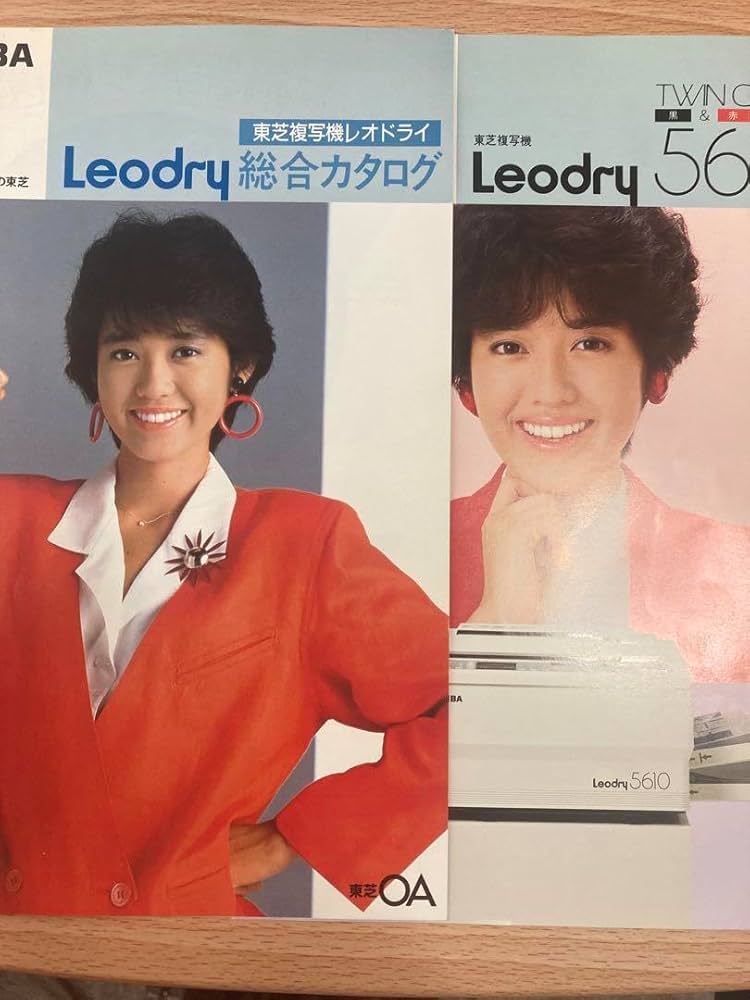 Amazon.co.jp: 早見優 東芝Leodry カタログ チラシ : ホーム＆キッチン