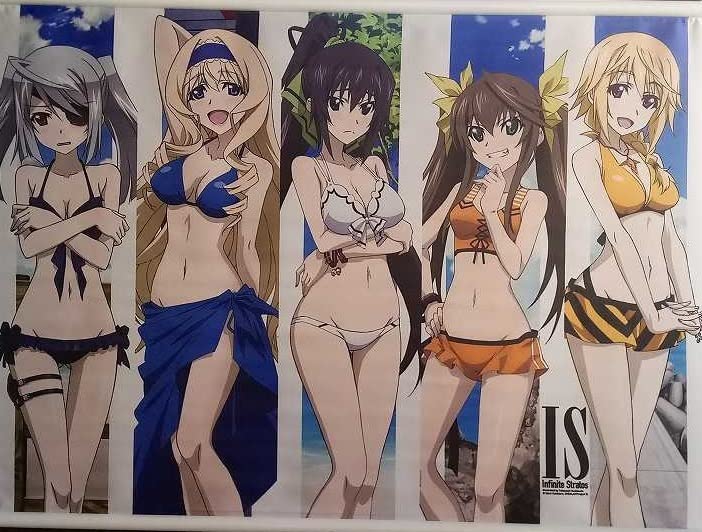 Amazon.co.jp: IS インフィニット・ストラトス 特製小説 CD パック C83