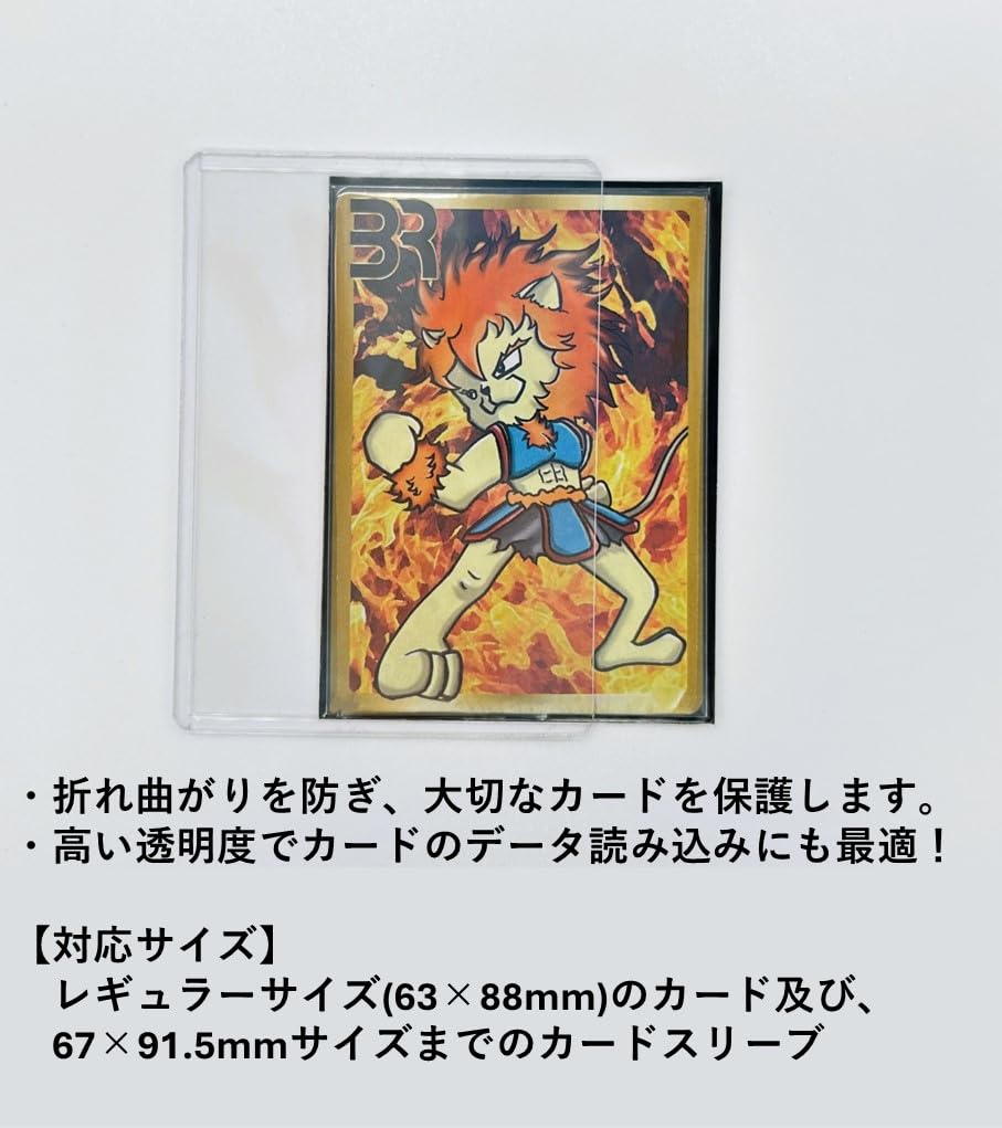 Amazon.co.jp: 【3個セット】BRサイドローダー クリア Rサイズ 5枚