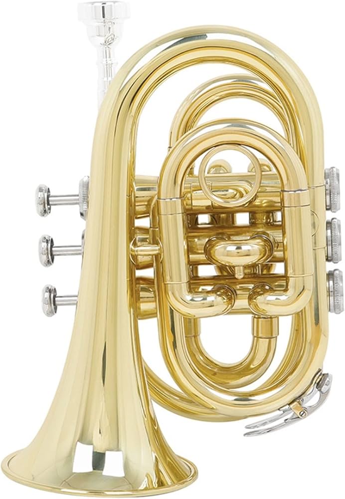 Amazon.co.jp: プロのポケットトランペット Bb キーミニチュア