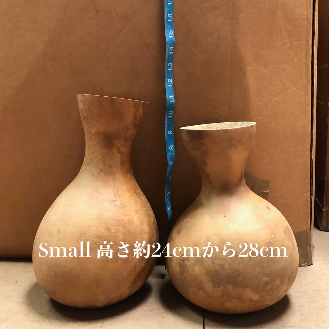 Amazon | [Hula Kahiko] イプ（多いほどお得なセット）Ipu'ole 打楽器