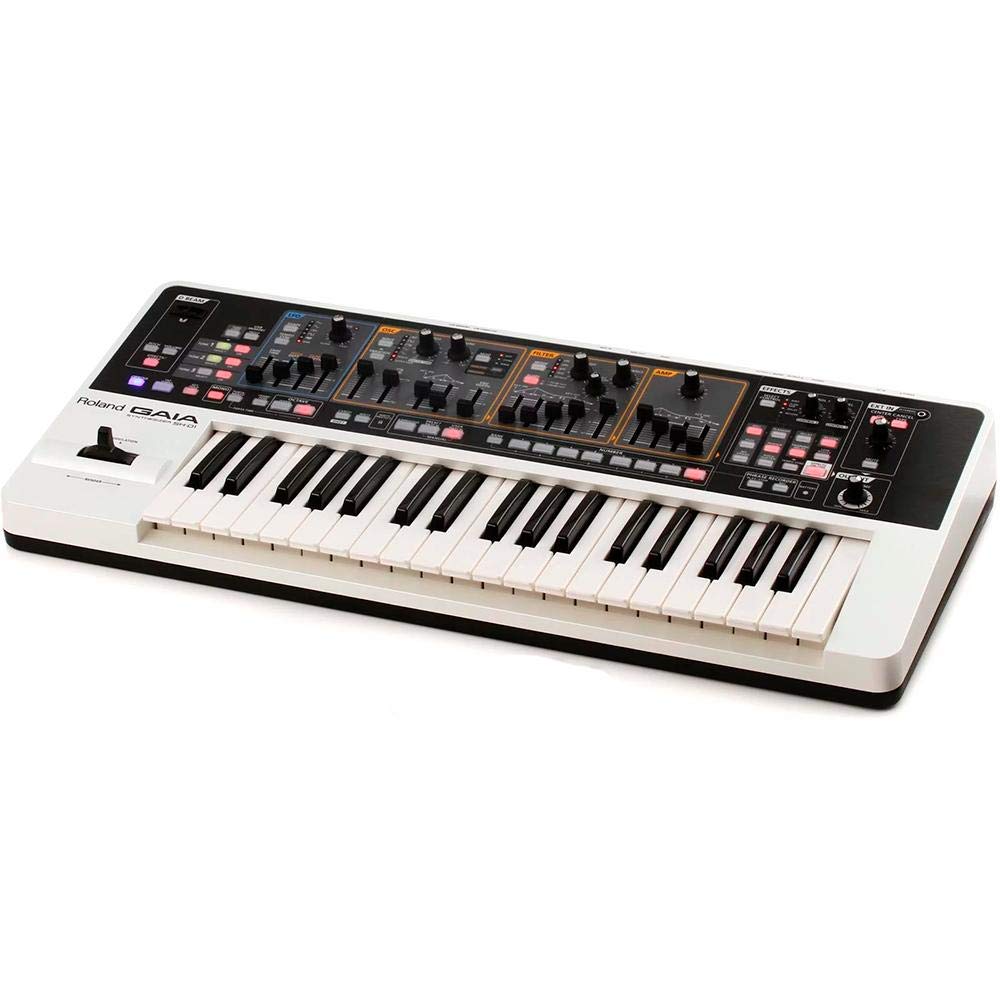 Amazon.co.jp: Roland ローランド シンセサイザー GAIA SH-01 : 楽器