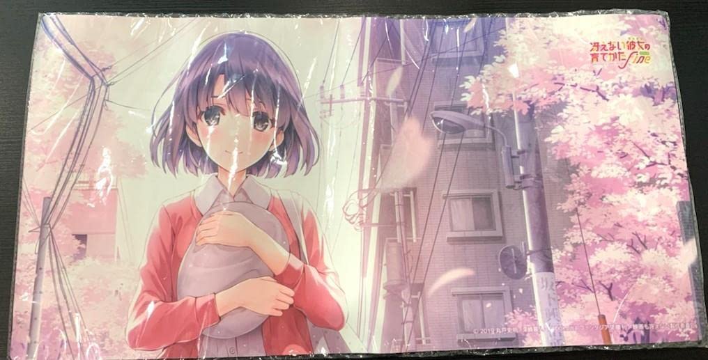 Amazon.co.jp: 冴えカノ 冴えない彼女の育てかた fine 加藤恵 プレイ