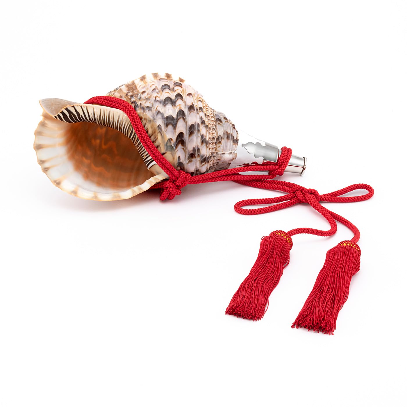 Amazon.co.jp: 伊勢 - 宮忠 - 法螺貝 ほら貝 楽器 笛 歌口付き 真言宗