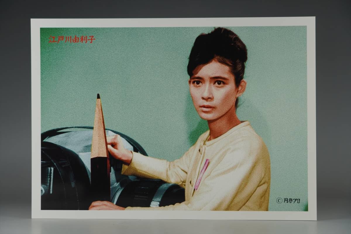 Amazon.co.jp: 18×26cm WF ワンフェス イベント M1号 桜井浩子 江戸川