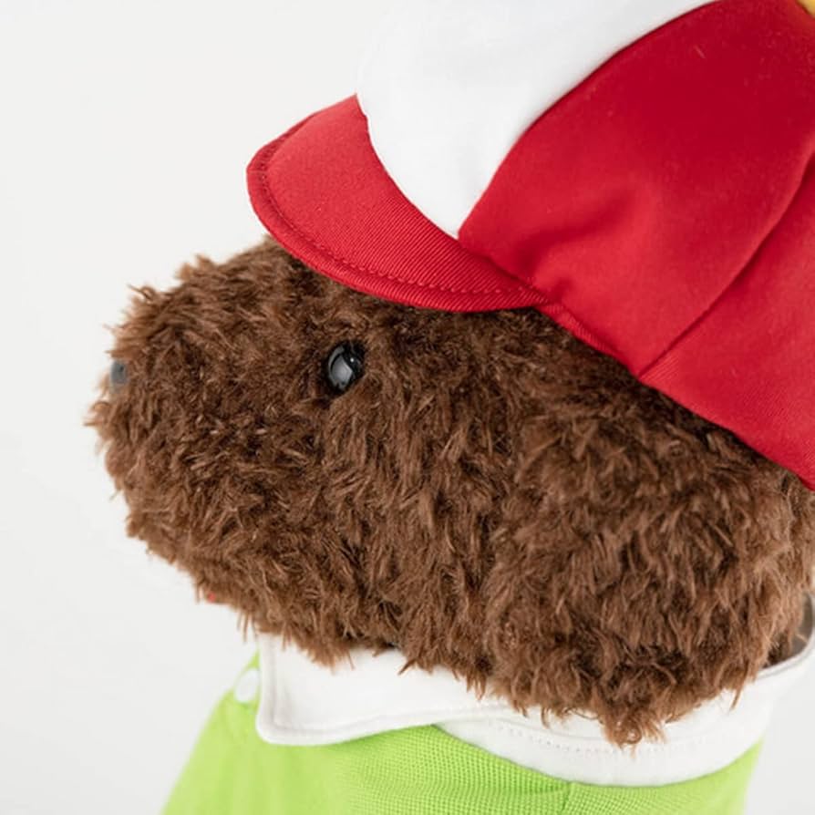 61dXfY-AlAL._AC_UF894,