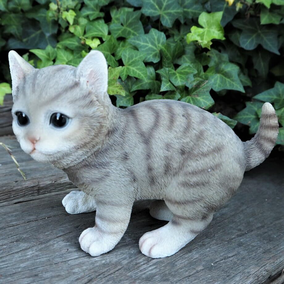 Amazon.co.jp: 猫の置物 アメショ 子猫 1227QYL アメリカン