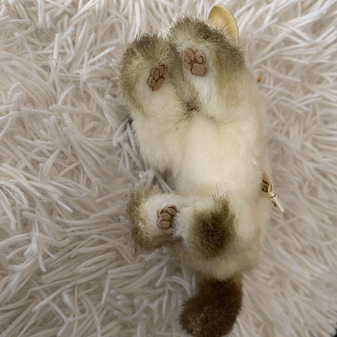 Amazon.co.jp: ネコ ねこ 猫 ぬいぐるみ セキグチ L Dream