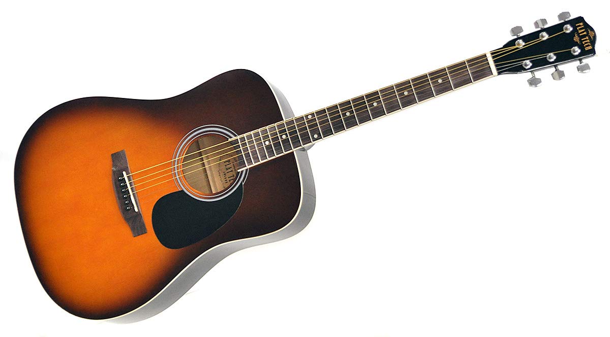 Amazon | PLAYTECH (プレイテック) アコースティックギター（アコギ