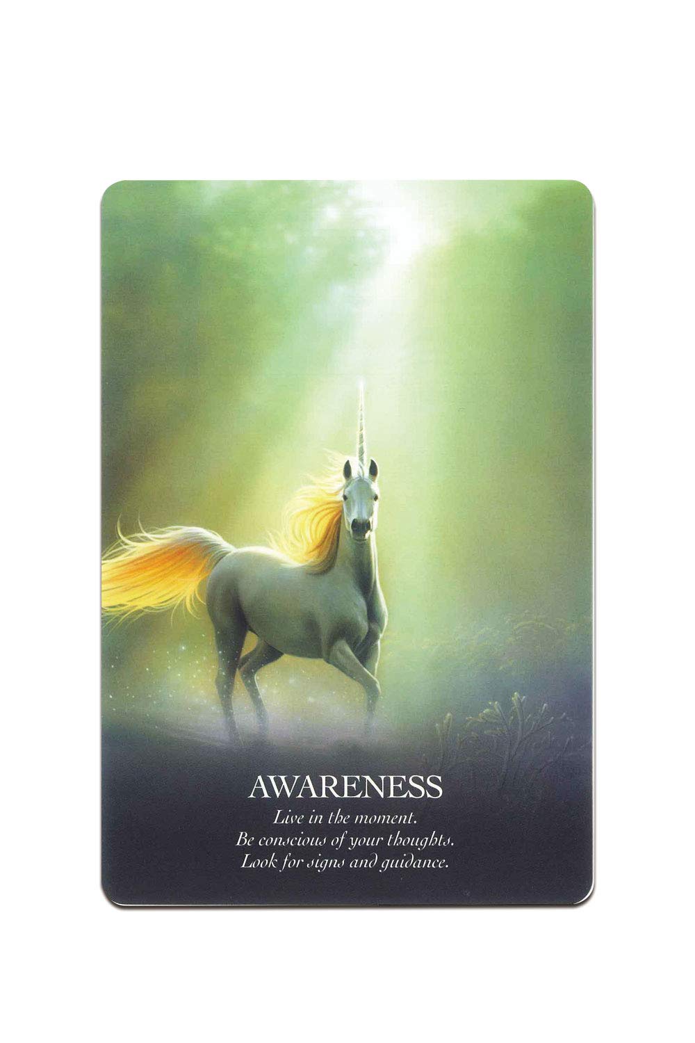 Amazon.co.jp: オラクルカード 44枚 占い ［正規品］【オラクル・オブ