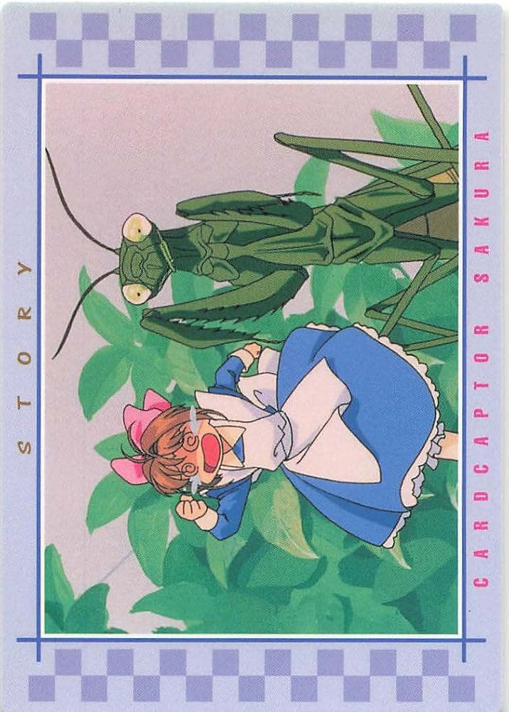Amazon.co.jp: カードキャプターさくら トレーディングカード 第24話