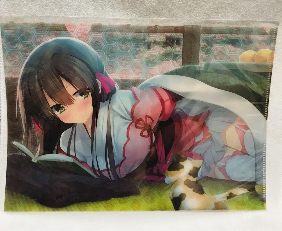 Amazon.co.jp: 戦国†恋姫 クリアファイル 竹中 詩乃 重治 : Office