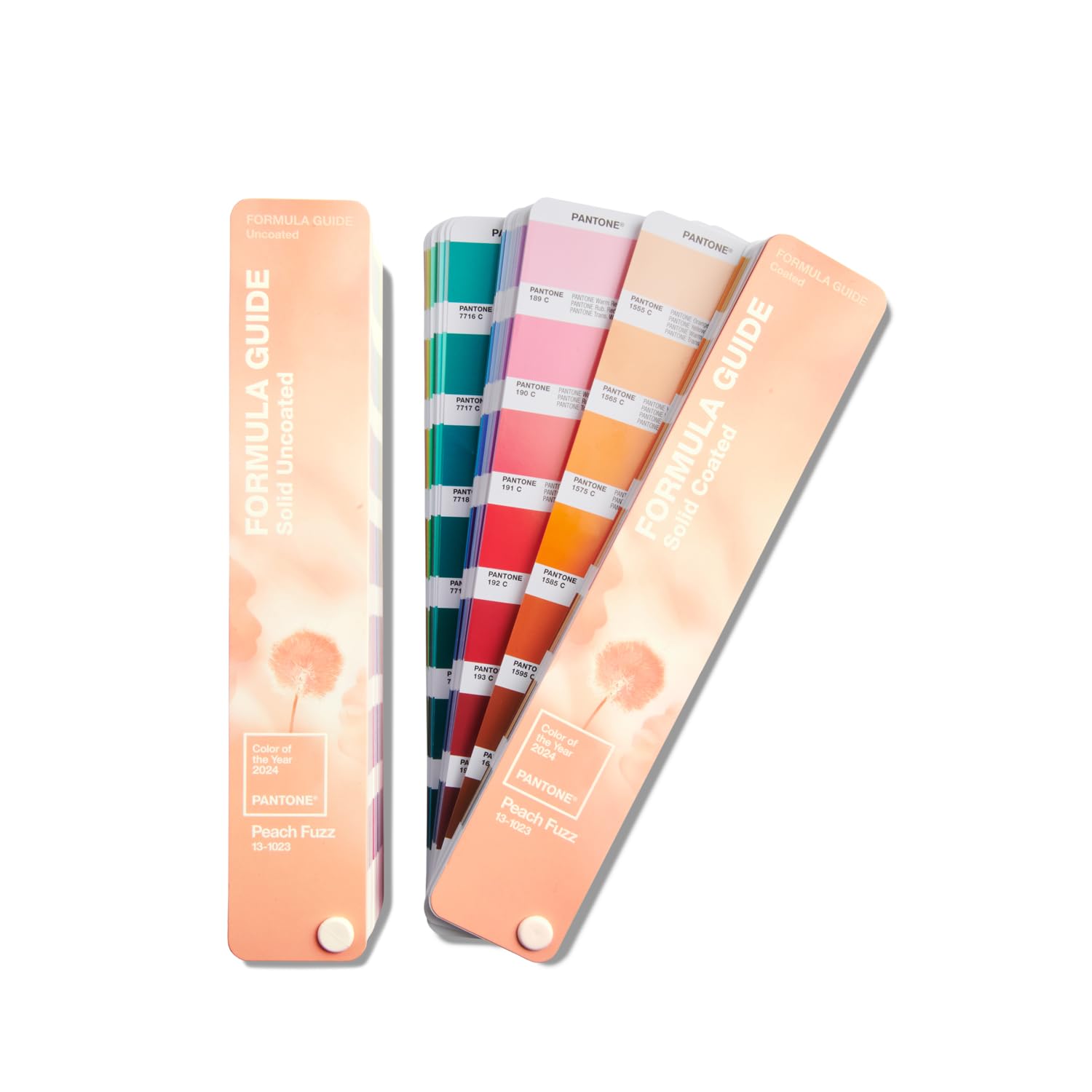 Amazon.com: Pantone Formula Guide, Limited Edition Color of the