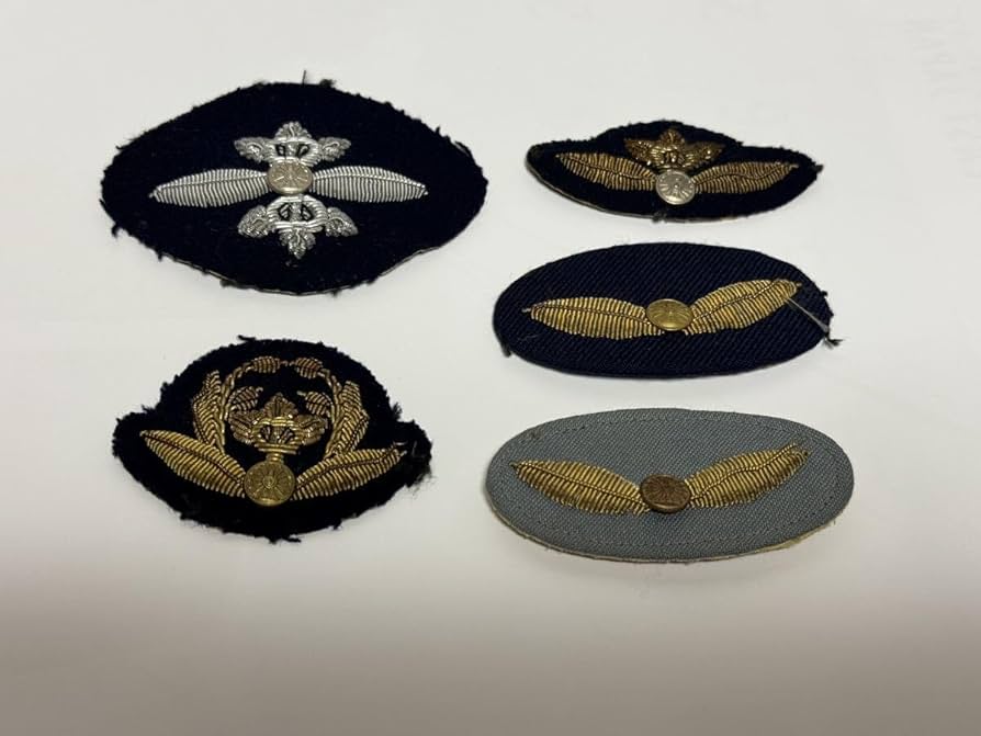 Amazon.co.jp: 鉄道公安官 階級章 ワッペン 徽章 まとめて : おもちゃ