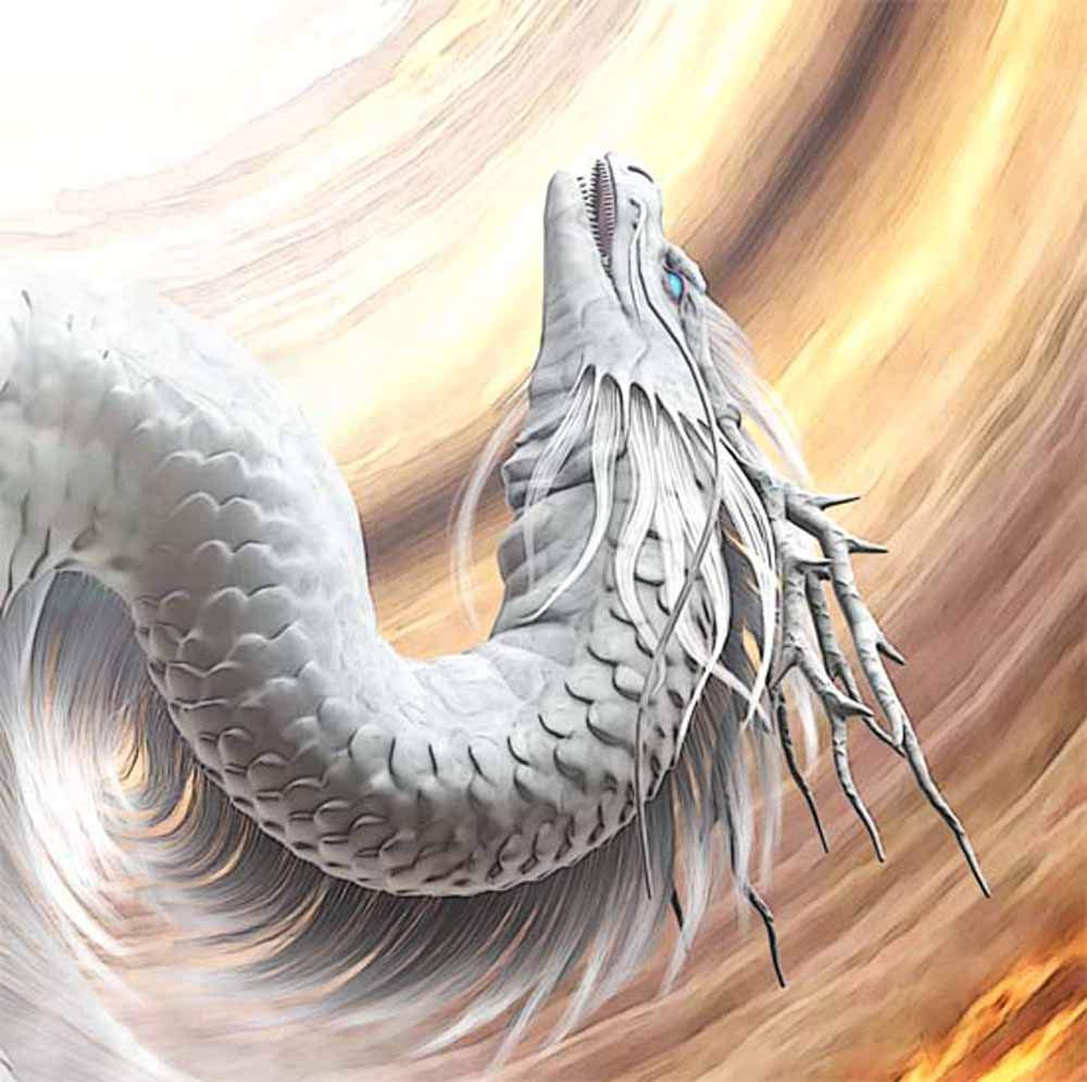 Amazon.co.jp: 龍の絵 「昇り龍1 白龍」 A4 竜の絵 : 龍樹: ホーム