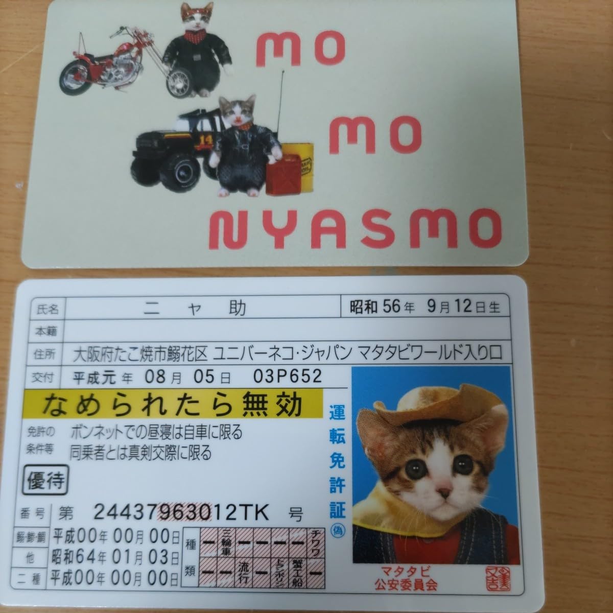 Amazon.co.jp: なめ猫 運転免許証 なめんなよ 助 免許証 昭和レトロ