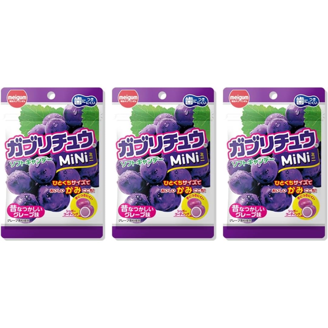 Amazon.com : Senka Japanese Soft Candy Chews Gaburichew Mini Grape