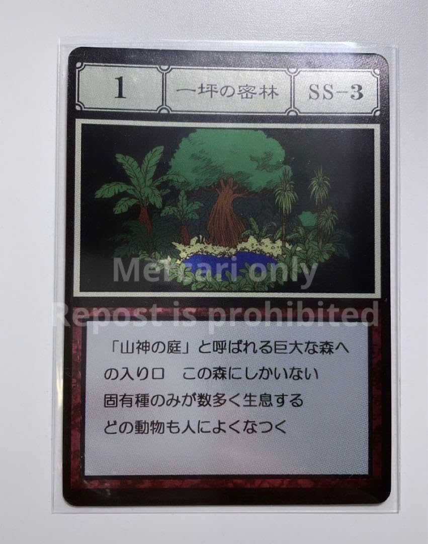 Amazon.co.jp: hunter×hunter 一坪の密林 グリードアイランド カード