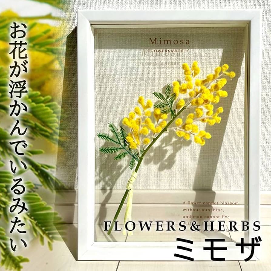 61nQnQ5W7rL._AC_UF894,