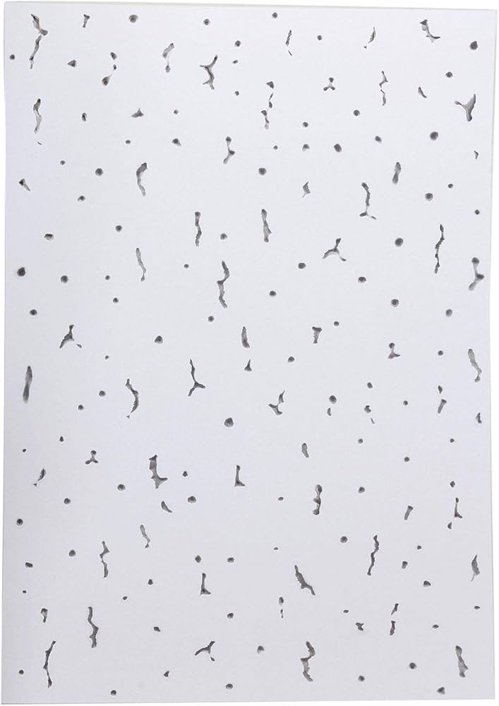 Amazon | ヒサゴ 天井シール・ジプトーン A4(210X297mm) 天井 穴隠し