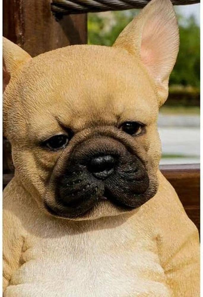 Amazon.co.jp: Bticx フレンチブルドッグ像 庭用 リアルな眠れる