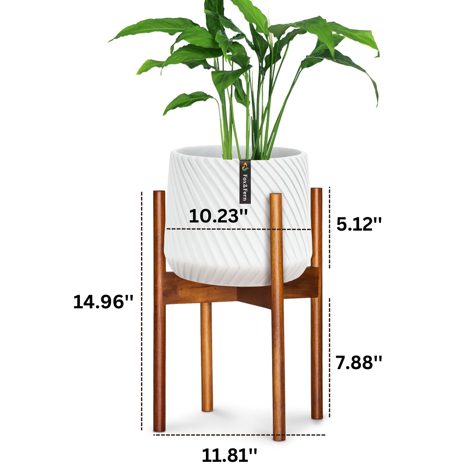 Amazon.com : Fox & Fern Mid Century Plant Stand — 10 Inch Fixed