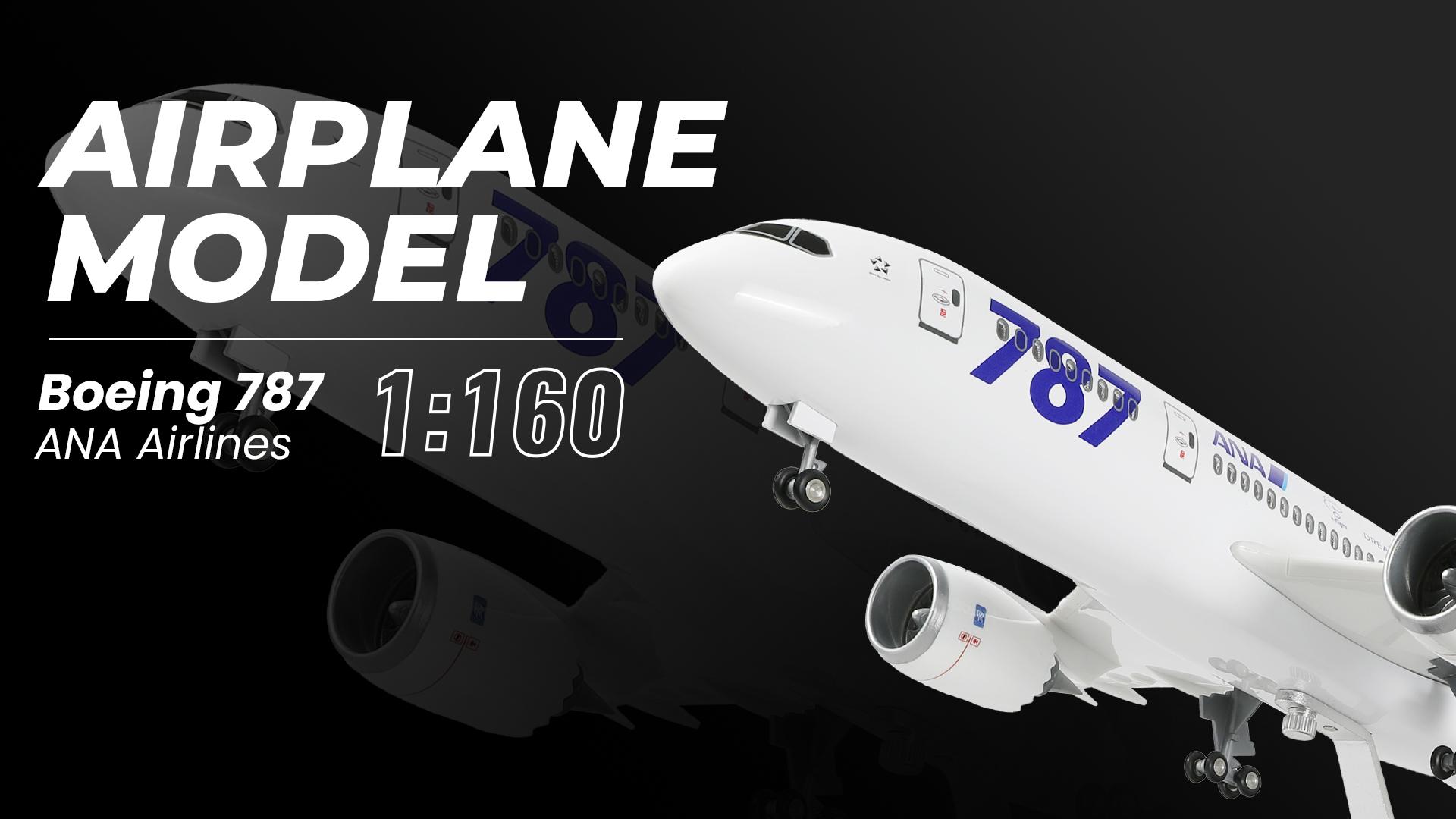 Amazon | QIYUMOKE ANA 1/160 787 大型模型飛行機 完成品 スタンド付き