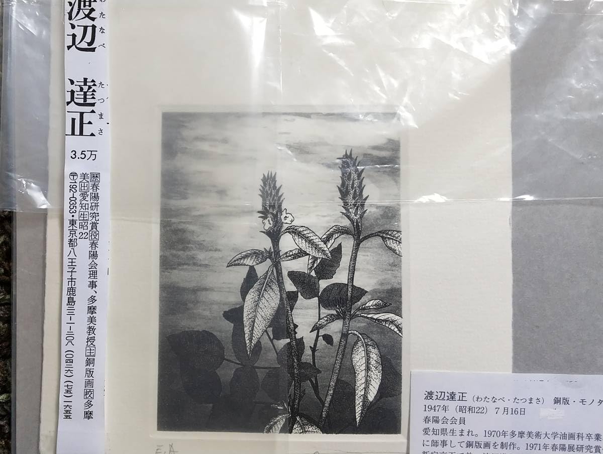 Amazon.co.jp: 渡辺達正 『草』 銅版画 直筆サイン入り モノタイプ