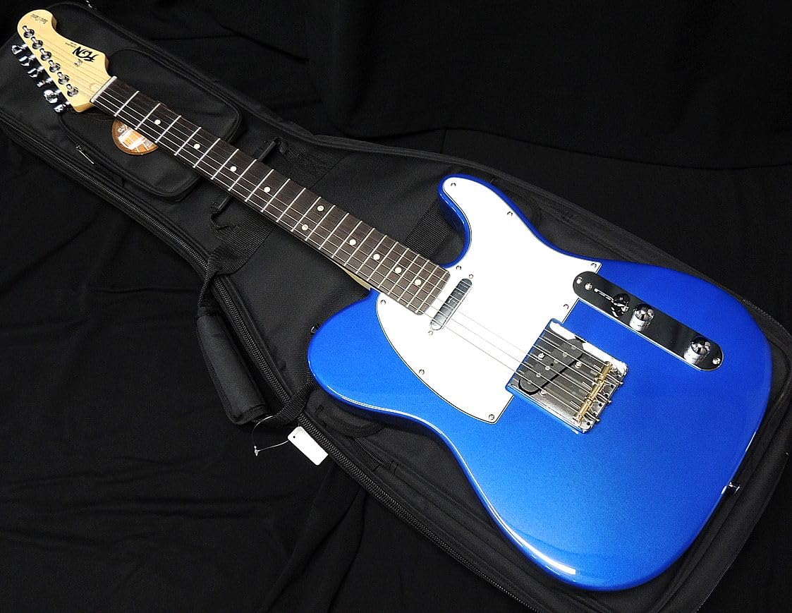 Amazon | FGN FUJIGEN BCTE100RBD MBL フジゲン テレキャスター タイプ