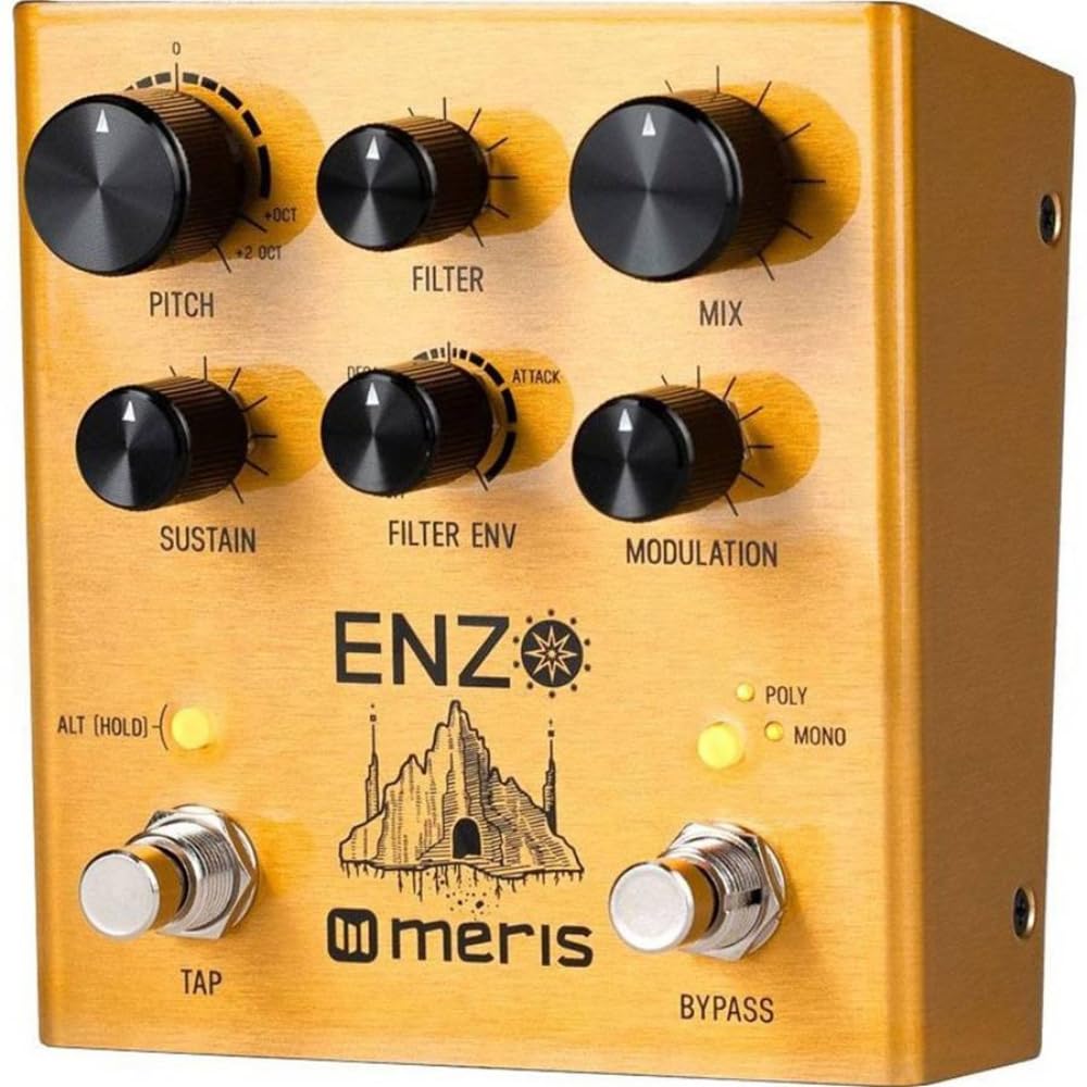 Amazon | Meris EZO-DST Enzo Pedal マルチボイスシンセサイザーペダル