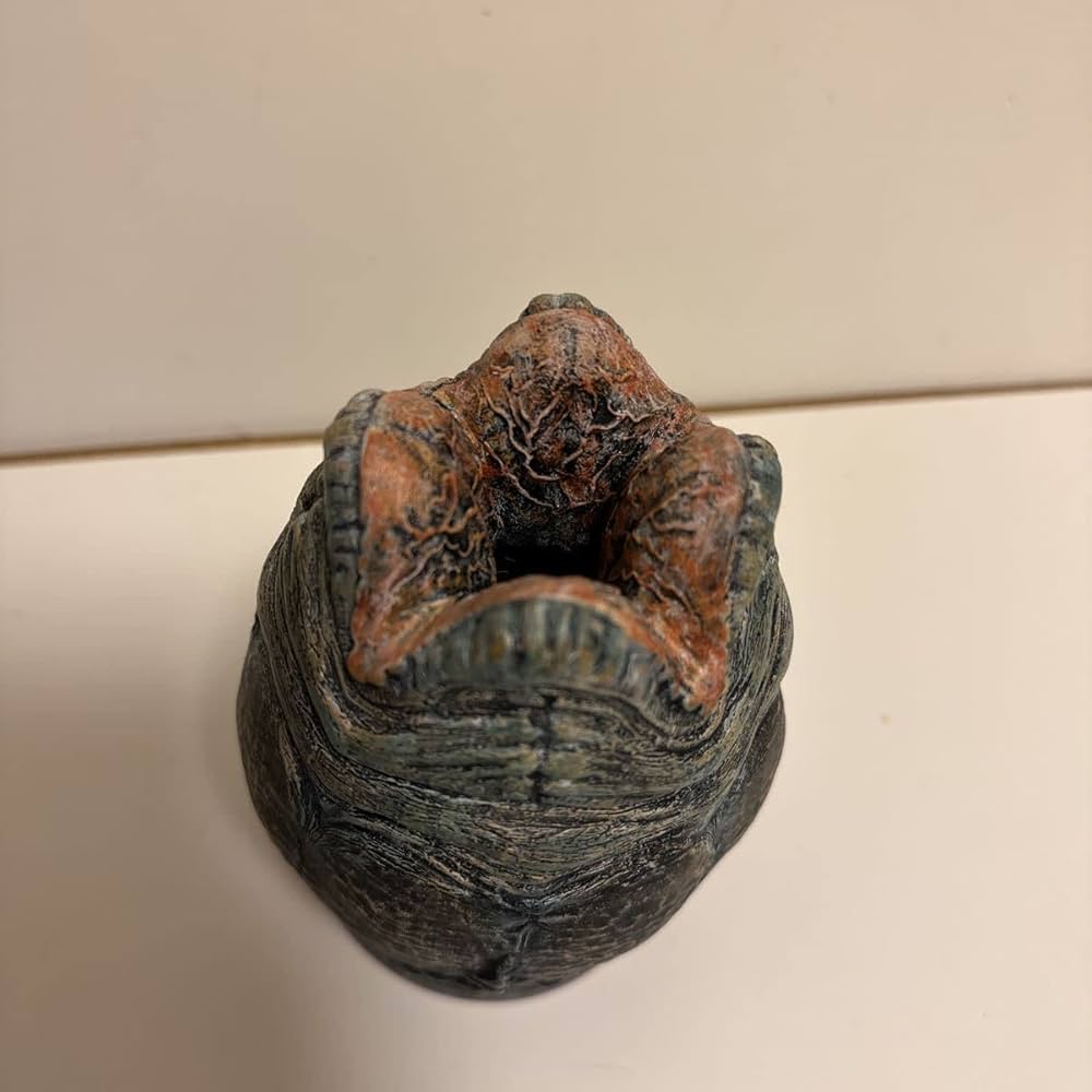 Amazon.co.jp: フォッシル エイリアン 腕時計 & エッグ型ケース FOSSIL