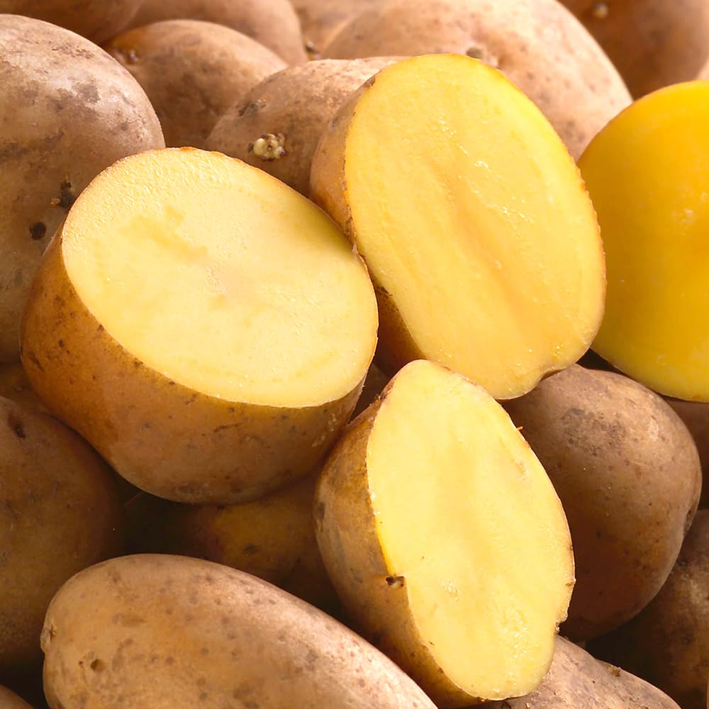 Amazon.co.jp: 北海道産 じゃがいも インカのめざめ 5kg (共撰/M-LM