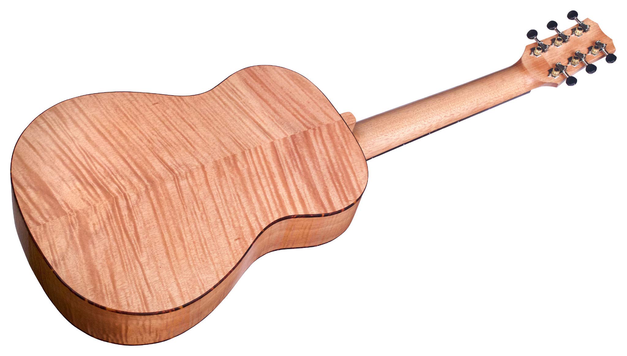 Amazon.co.jp: Cordoba (コルドバ) トラベルナイロンギター 全長873mm