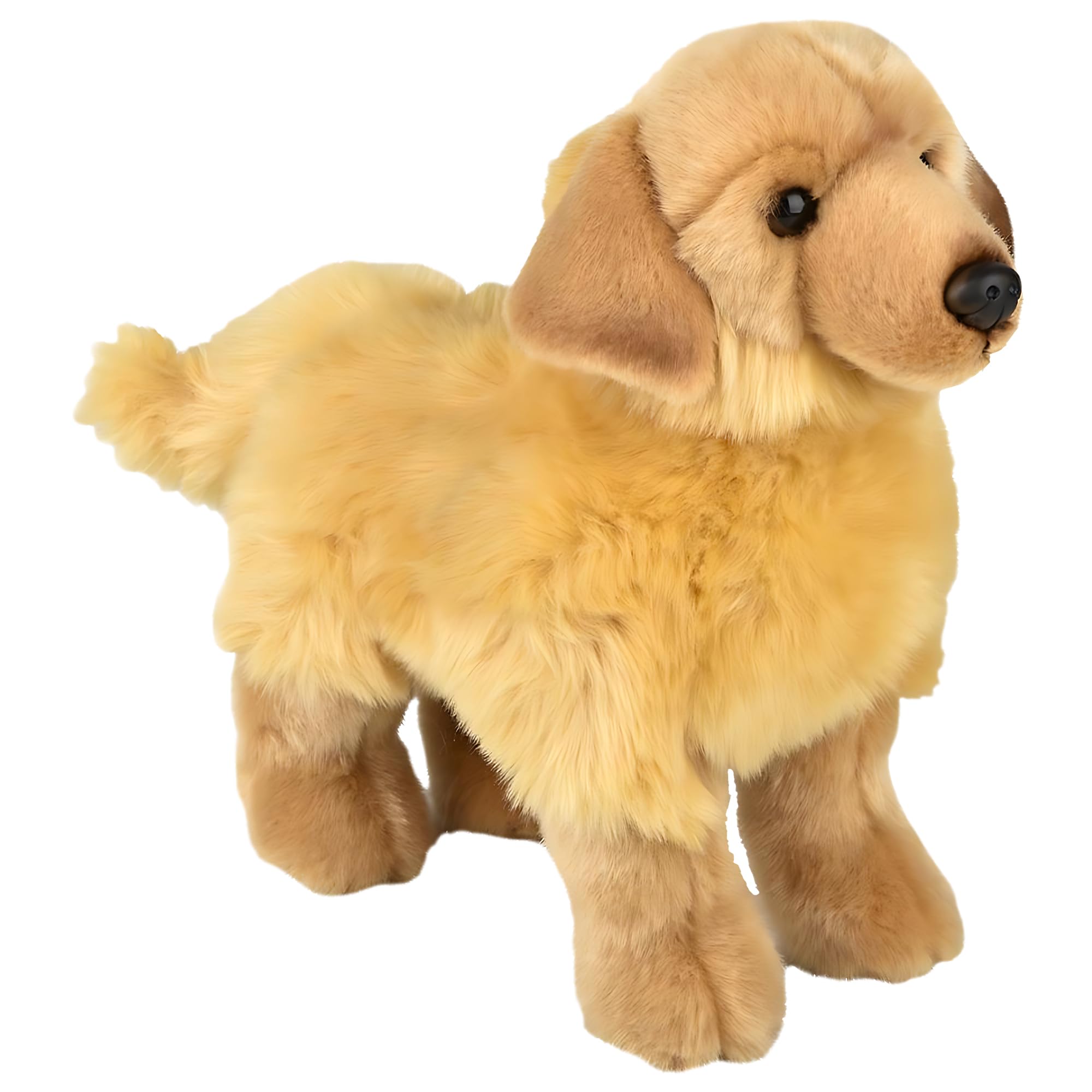 Amazon.co.jp: Forest Twelfth 12フィート 立っているゴールデン