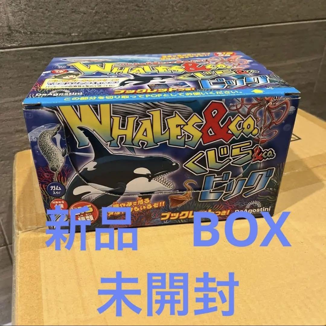 Amazon.co.jp: くじら&Co. ビッグ クジラアンドコー くじらアンドコー