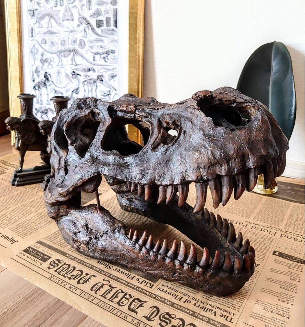 Amazon.co.jp: ティラノサウルス インテリアオブジェ 雑貨 置物 恐竜の