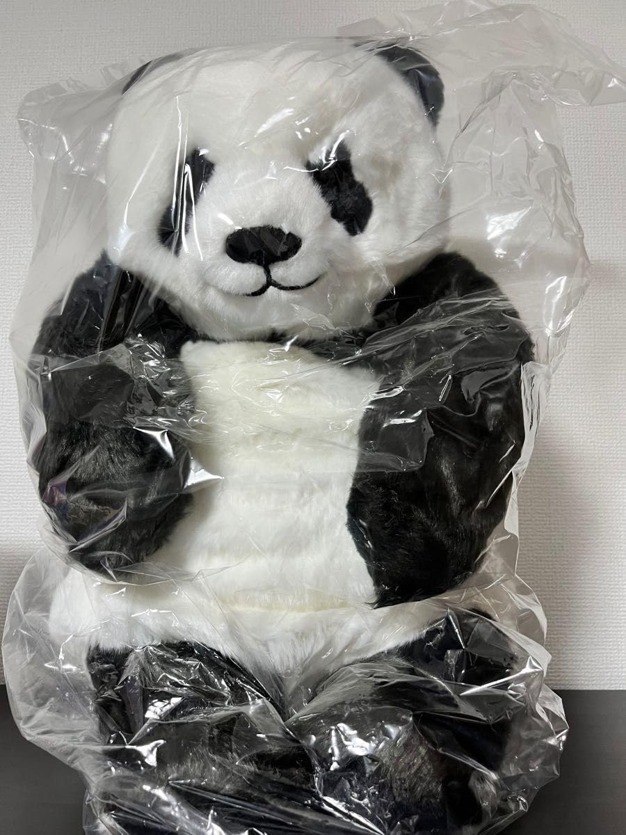 Amazon.co.jp: 上野動物園 パンダ シャンシャン ぬいぐるみ 抱っこ