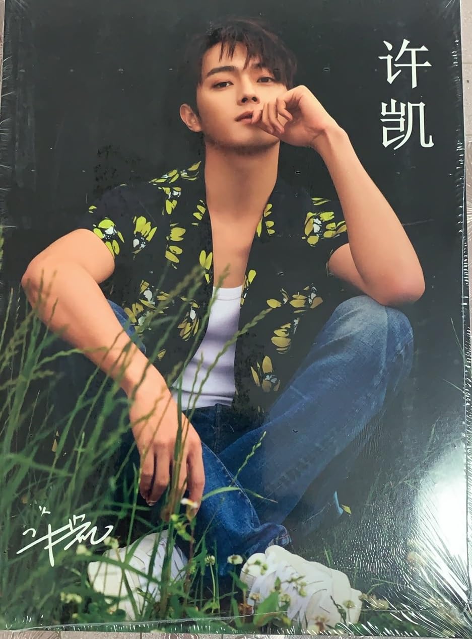 Amazon.co.jp: 許凱 シューカイ 写真集 [並行輸入品] : おもちゃ