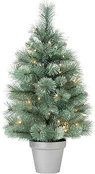 Amazon.co.jp: 【2024年モデル】Francfranc フランフラン LED 50球付き