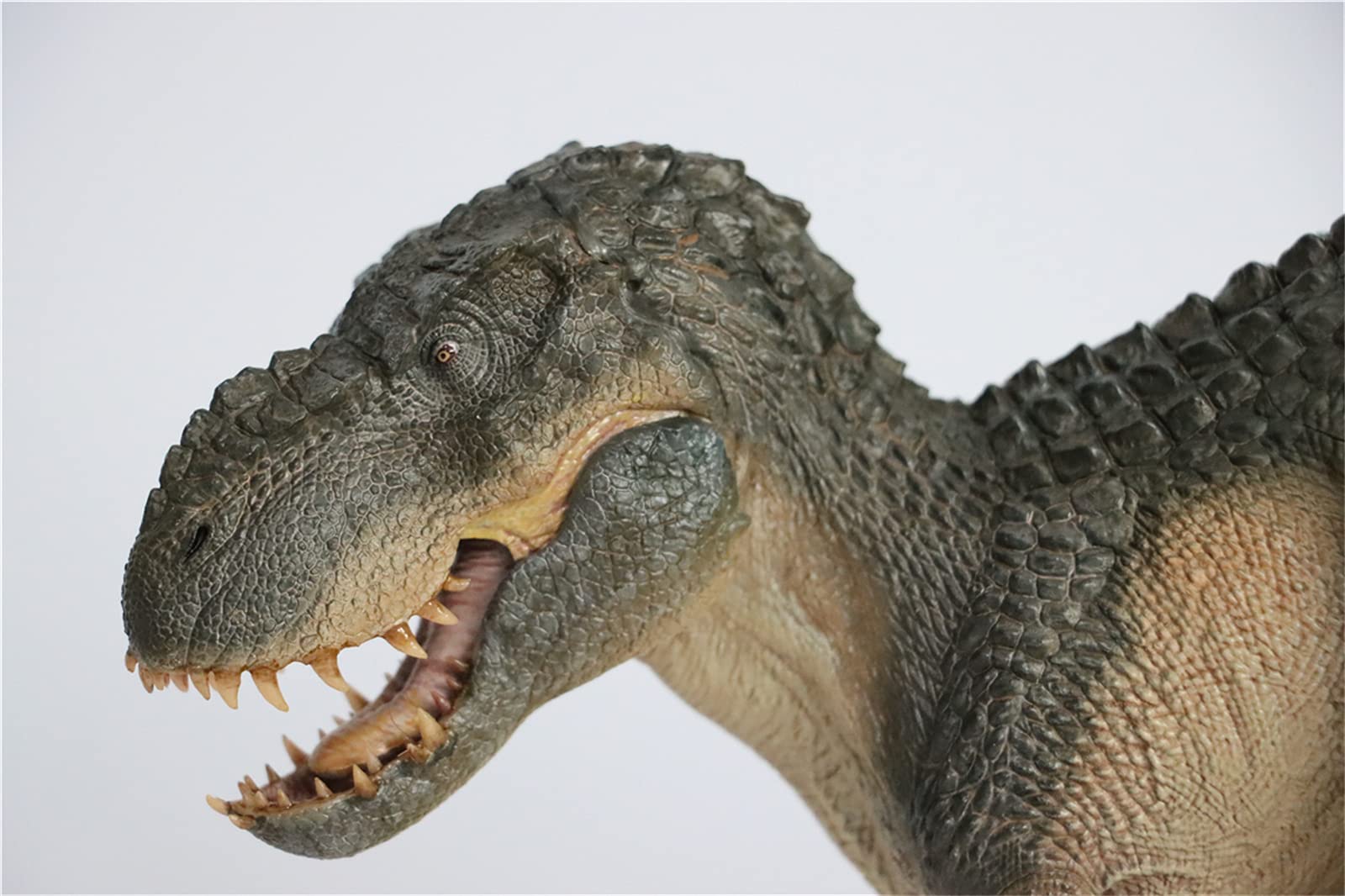 Amazon | Nanmu 本心楠改 1/35 サイズ ヴァスタトサウルス·レックス