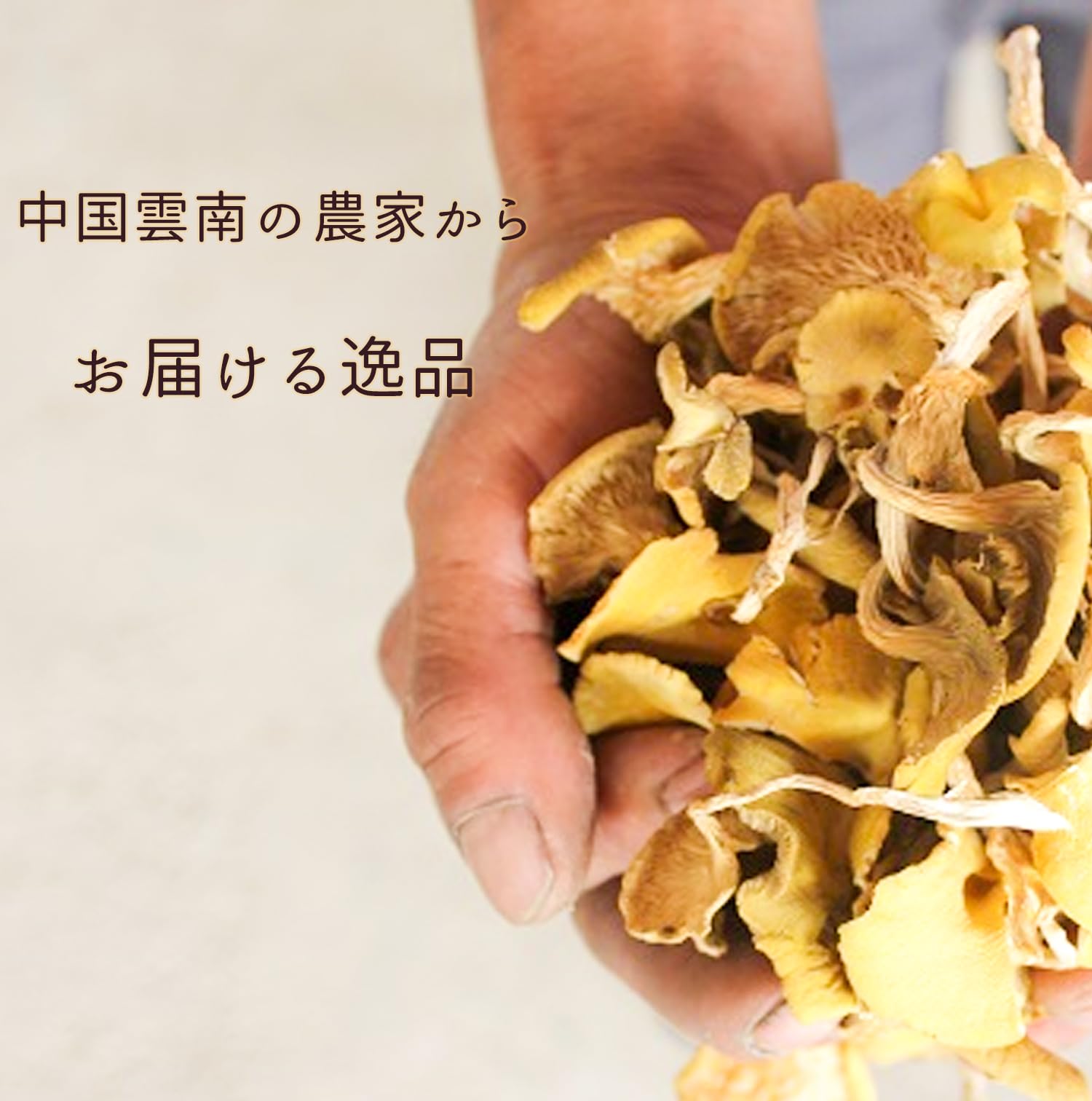 Amazon.co.jp: 乾燥 たもぎ茸 たもぎたけ 黄金たもぎだけ スーパー健康