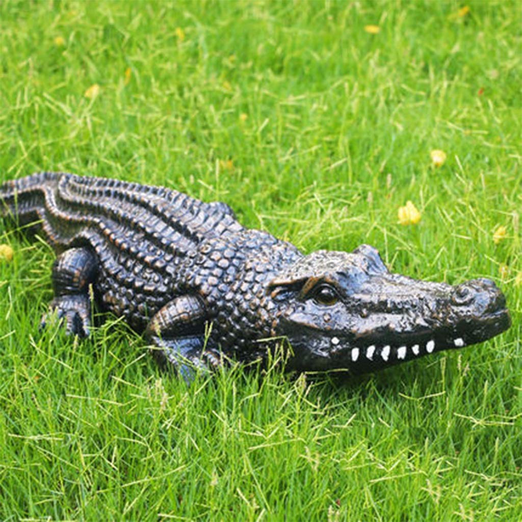 Amazon.co.jp: ガーデンオーナメント・置物 魚のいる池のワニの像の