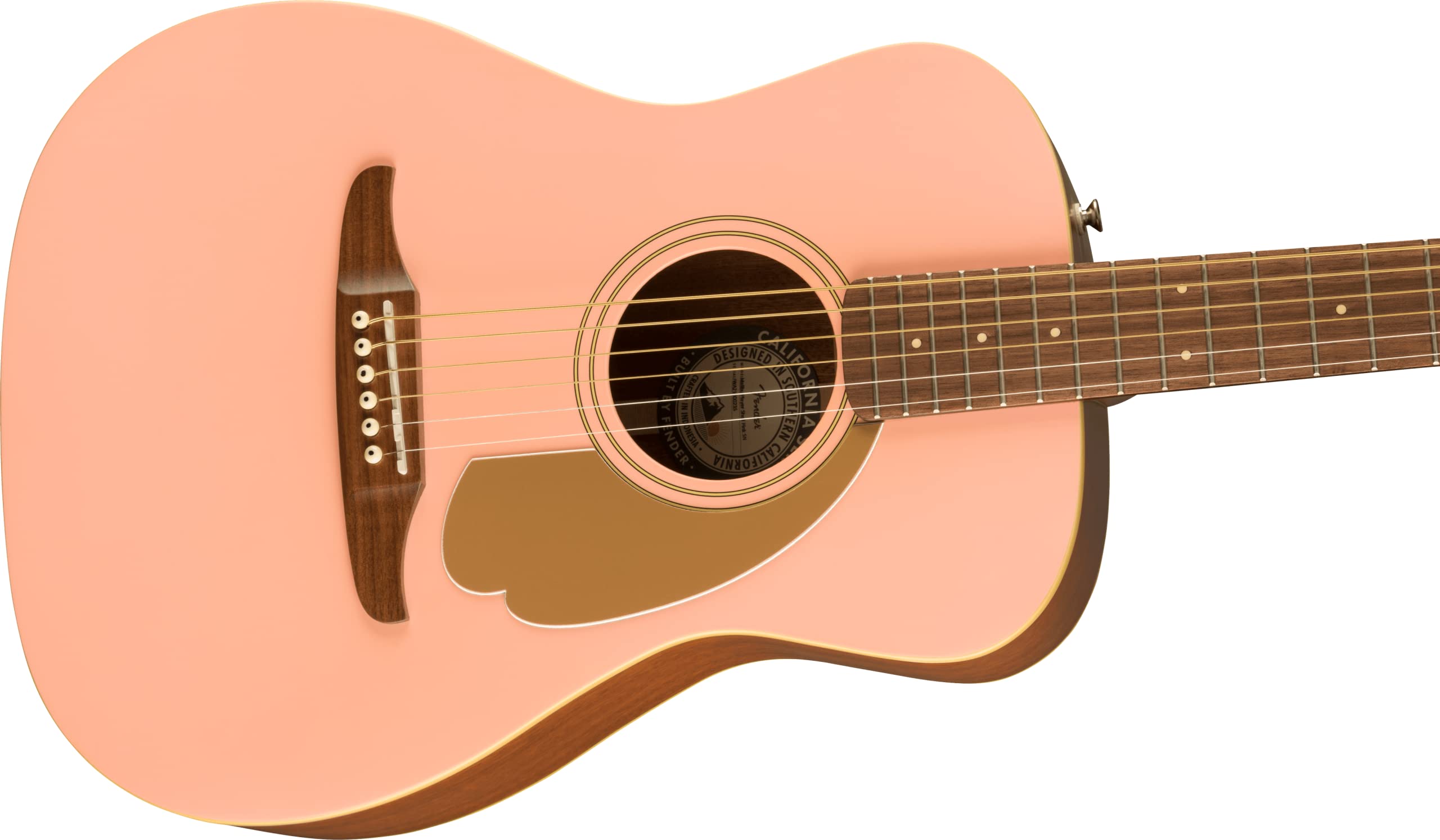 Amazon.co.jp: Fender フェンダー エレアコ FSR Malibu Player, Walnut